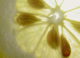 Nuove piante dai semi di frutta e verdura – parte 1 713 0 039 Nuove piante dai semi di frutta e verdura 1